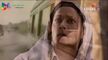 Laado3