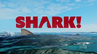 Shark AU S01E02 HDTV H264-RBB